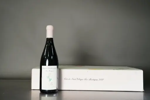 Charles Lachaux Cote de Nuits Villages Aux Montagnes 2022 (750ml)