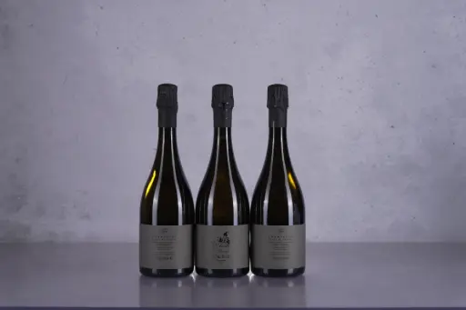 Cedric Bouchard Roses de Jeanne Les Ursules Blanc de Noirs R20 (750ml)