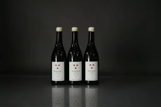 La Pierre Ronde Bourgogne Chardonny Cote'or 2023 (750ml)