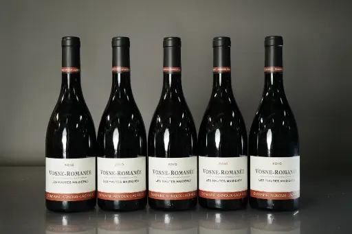 Arnoux Lachaux Vosne Romanee Les Haut Maizieres 2010 (750ml)