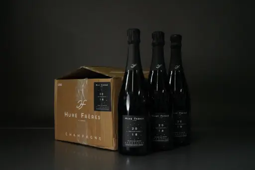 Hure Freres Instantanee Blanc de Noirs Extra Brut  2018 (750ml)