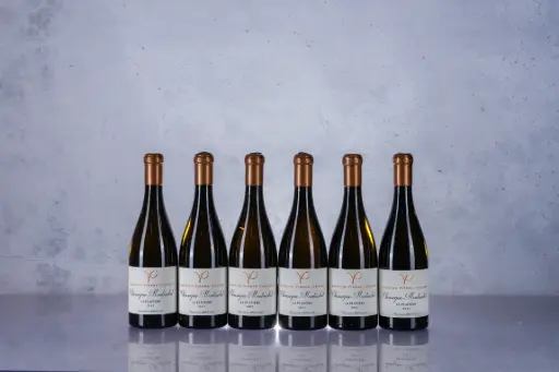 Pierre Vincent Chassagne Montrachet La Platiere 2023 (750ml)
