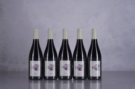 Labet Cotes du Jura Metis Rouge 2023 (750ml)