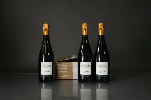 Ulysse Collin Les Pierrieres Blanc de Blanc 48Mois V20 (750ml)