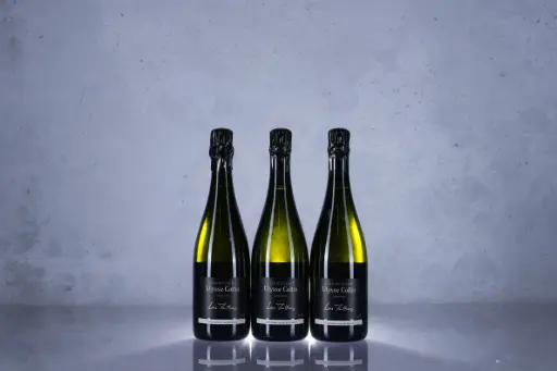 Ulysse Collin Les Maillons Blanc de Noirs 48Mois V20 (750ml) 