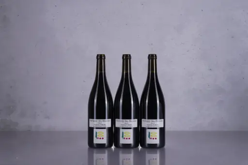 Prieure Roch Savigny Les Beaune Au dessus des Gollardes Rouge 2023 (750ml)