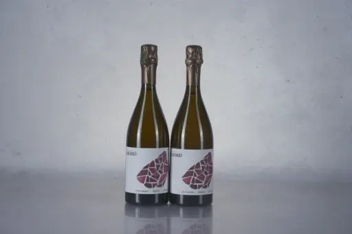 Elise Bougy Le Mont Chainqueux Blanc de Noirs NV (750ml)