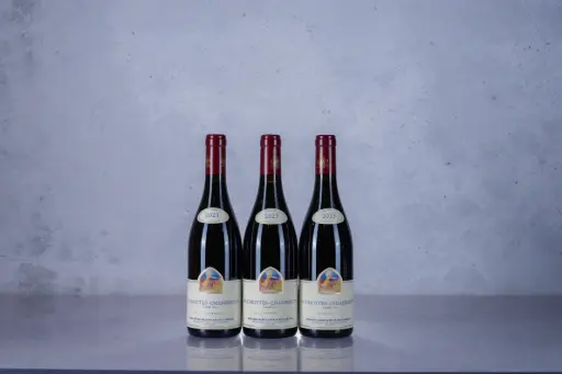 Mugneret Gibourg Ruchottes Chambertin 2023 (750ml)