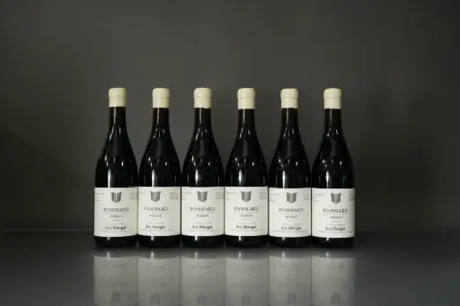 Kei Shiogai Pommard 2022 Poisot 2022 (750ml)