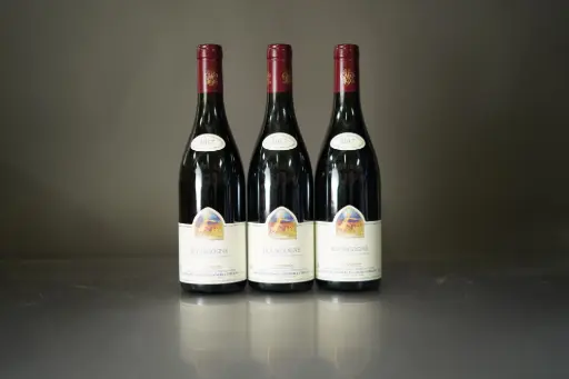 Georges Mugneret Gibourg Bourgogne Rouge 2017 (750ml)