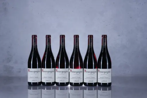 Roumier Bourgogne Rouge 2023 (750ml)