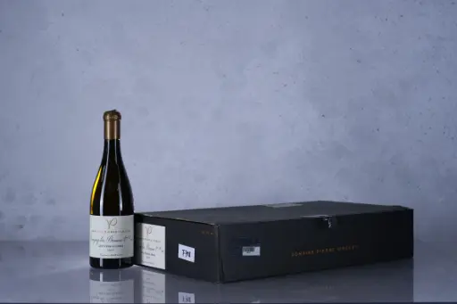 Pierre Vincent Savigny les Beaune 1er Cru Vergelesses Blanc 2023 (750ml)