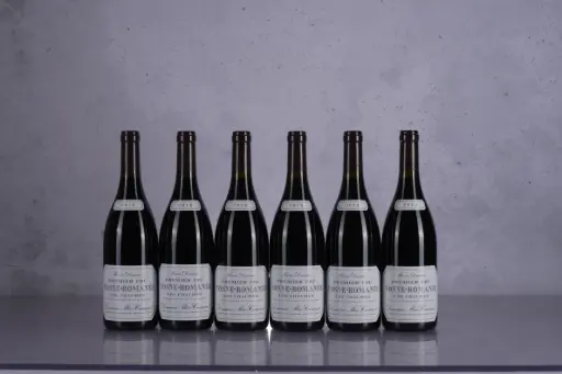 Meo Camuzet Vosne Romanee 1er Cru Chaumes 2013 (750ml)