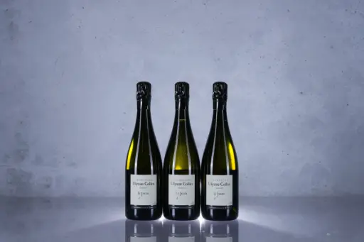 Ulysse Collin 'Le Jardin d'Ulysse' Extra Brut (750ml)