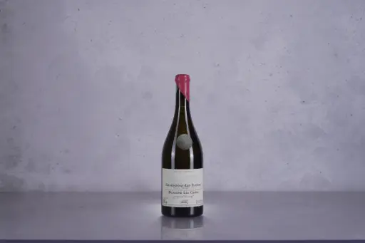 Gaspard Brochet - Domaine Les Croix Coteaux Champenois 'Les Plantes' 2022 (750ml)