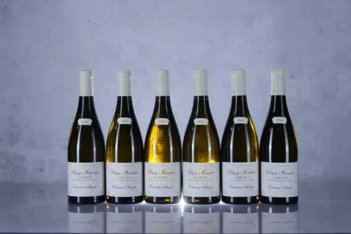 Etienne Sauzet Puligny Montrachet 1er Cru Champ Gain 2014 (750ml)