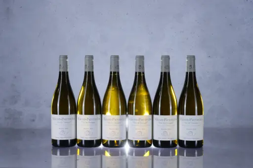 Guffens-Heynen Macon Pierreclos 'Tri de Chavigne' 2024 (750ml)