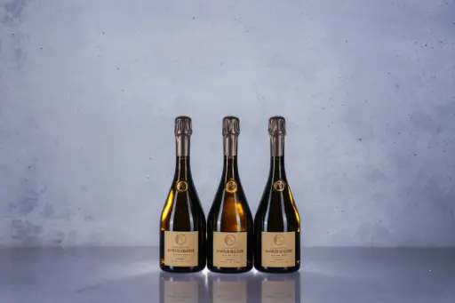 Marius Selosse "Racine" Avize Grand Cru 2019 (750ml)