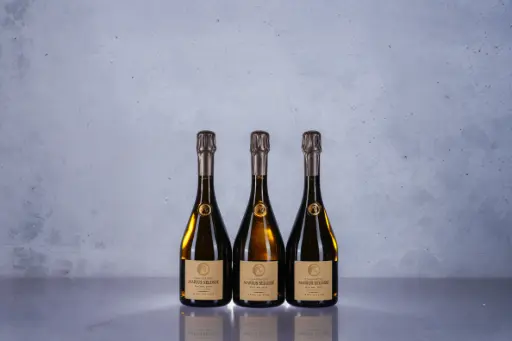 Marius Selosse "Racine" Avize Grand Cru 2019 (1.5L)