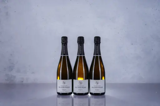 Selosse Pajon 'Elegance' Fut de Chene Brut NV (750ml)