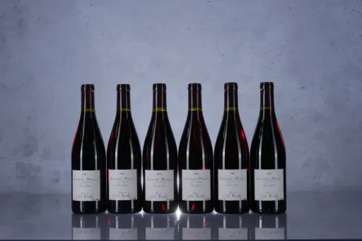 Cecile Tremblay Chambolle-Musigny 1er Cru Les Feusselottes 2006 (750ml)(M13)
