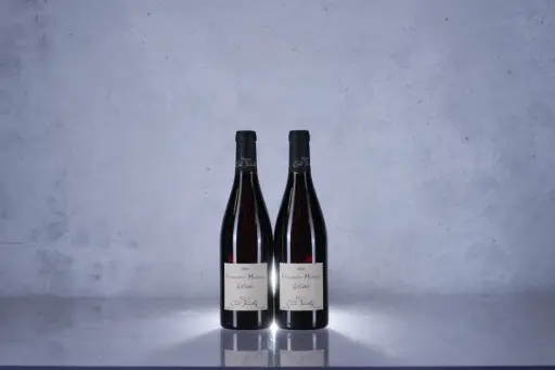 Cecile Tremblay Chambolle-Musigny Les Cabottes 2010 (750ml)(M13)
