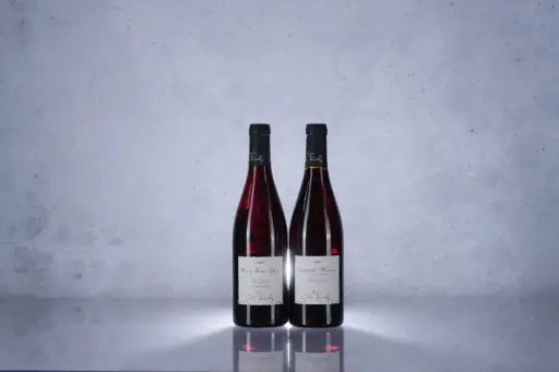 Cecile Tremblay Morey St Denis Tres Girard 2009 (750ml)(M13)