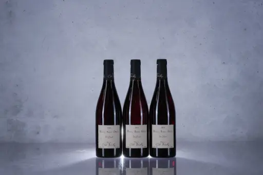 Cecile Tremblay Morey St Denis Tres Girard 2010 (750ml)*