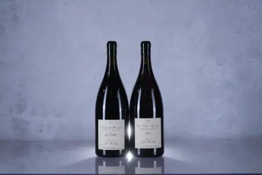 Cecile Tremblay Nuits St Georges Albuca 2013(1.5L)(M13)