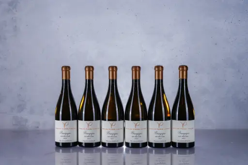 Pierre Vincent Bourgogne Les Pellans 2023 (750ml)
