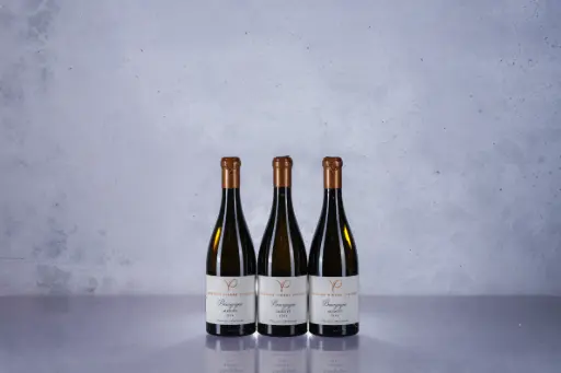 Pierre Vincent Bourgogne Aligote 2024 (750ml)