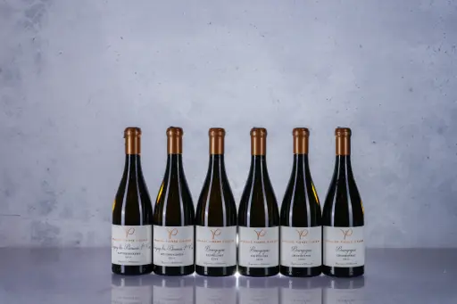 Pierre Vincent Bourgogne Les Pellans 2024 (750ml)