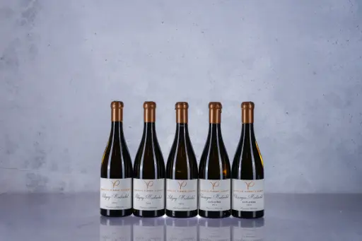 Pierre Vincent Puligny Montrachet 2024 (750ml)