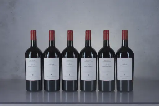 Stella di Campalto Podere San Giuseppe 'Cielo' Brunello di Montalcino 2018 (1.5L) (F14)