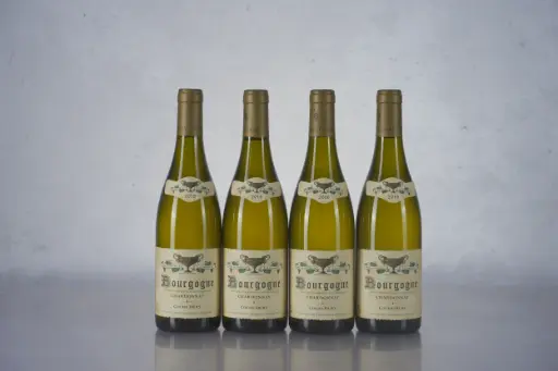 Coche Dury Bourgogne Chardonnay 2019 (750ml)